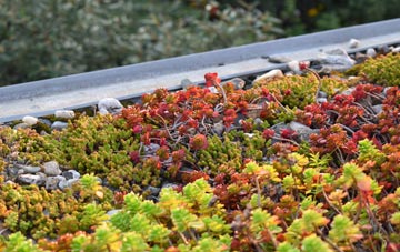 the cost of Derry green roof installation