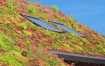 Derry living roof systems