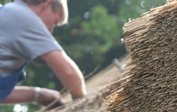 professional Derry thatchers