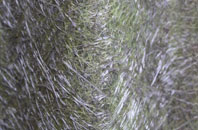 Derry fibreglass roof work